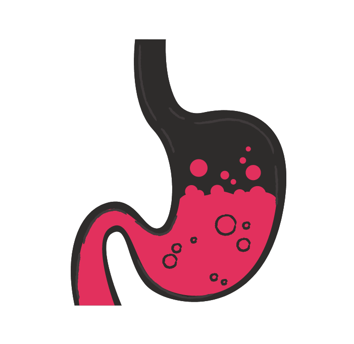 Digestive System