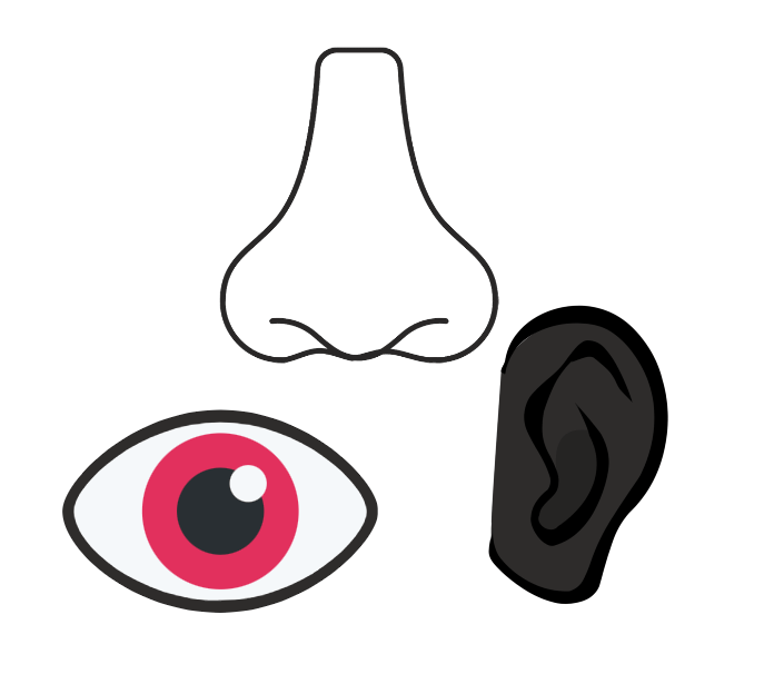 Eyes, Nose, Ears